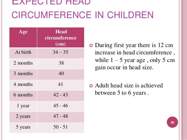Head And Chest Circumference Chart
