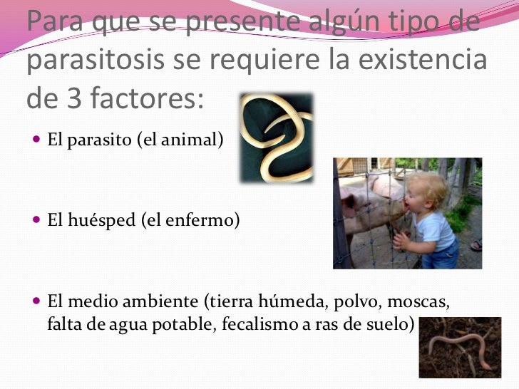 Por que preparados son curados de los parásitos