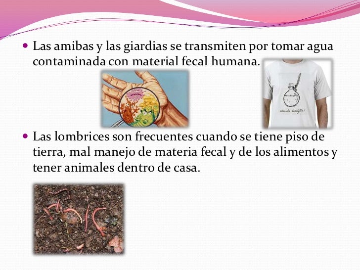 Los preparados para la profiláctica y el tratamiento de las lombrices a las personas