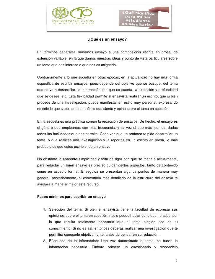 Como se hace un essay picture