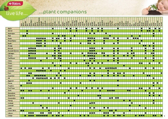 Garden Compatibility Chart