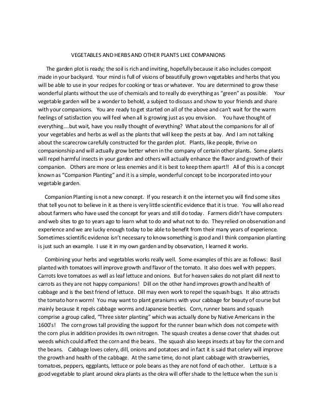 Dooley takes the fall essay