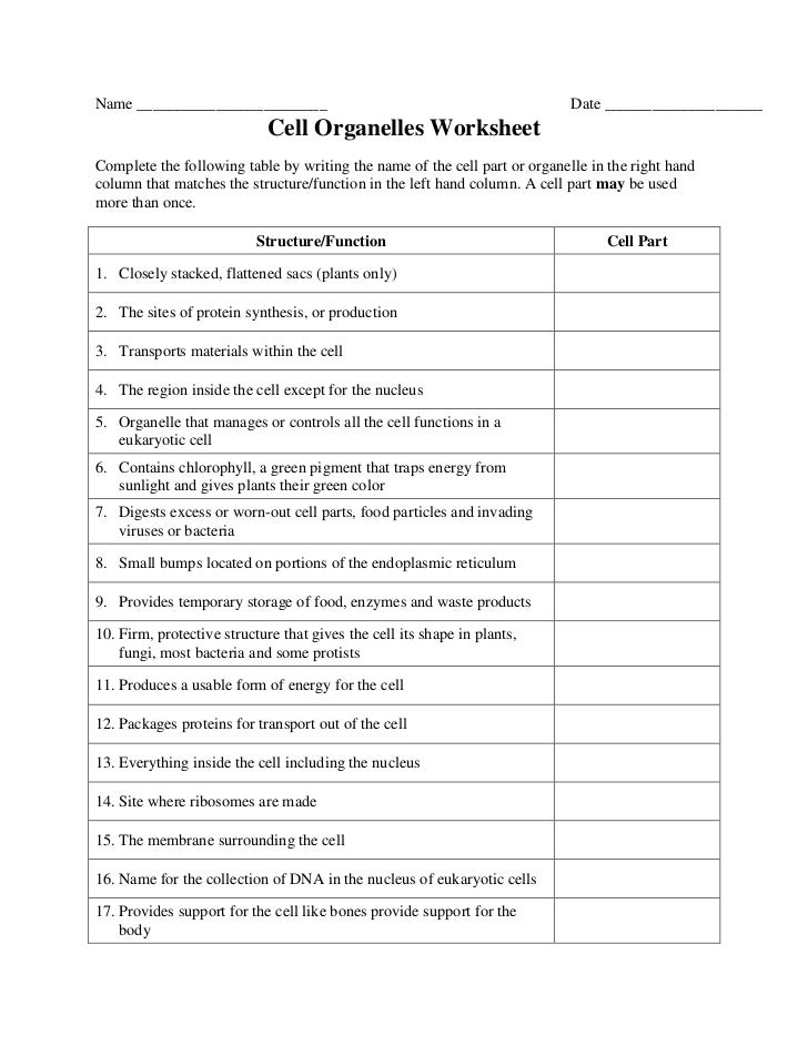 Plant and Comparing Comparing plant  worksheet Worksheet animal and Animal Cells And animal on cells plant