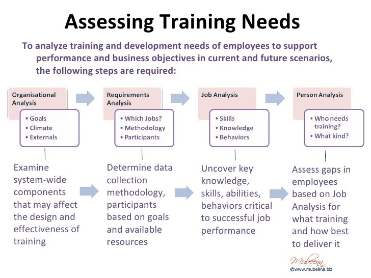 System Plan for Needs Analysis of Three