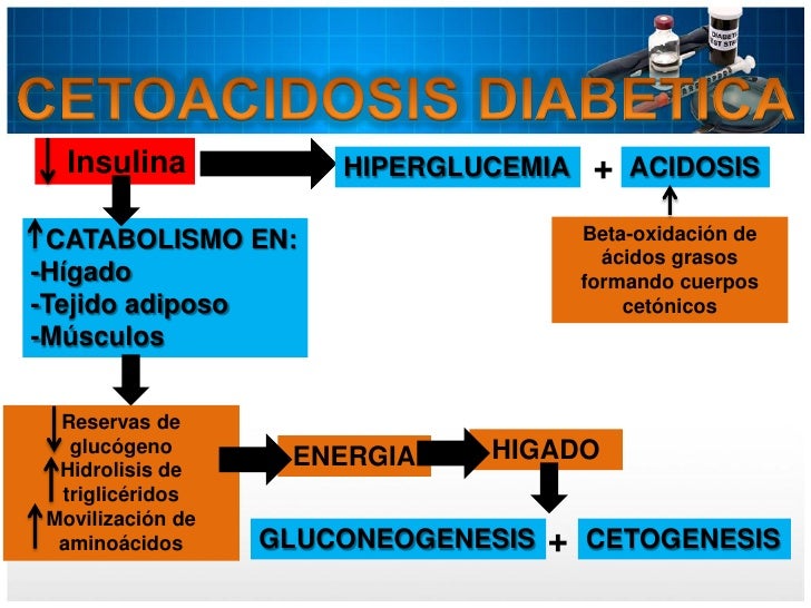 Complicaciones agudas de la diabetes mellitus Complicaciones agudas de la diabetes mellitus