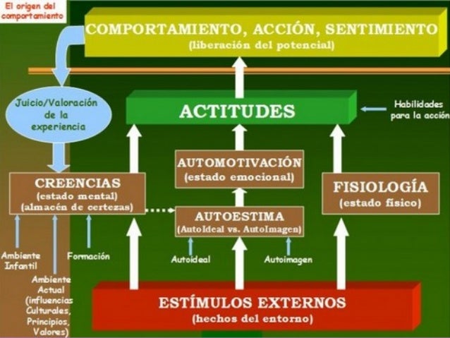Comportamiento humano