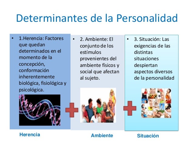 Comportamiento individual mgp