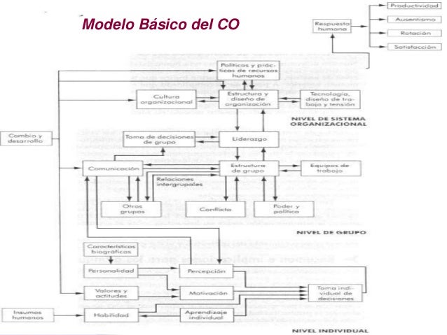 Comportamiento organizacional robbins