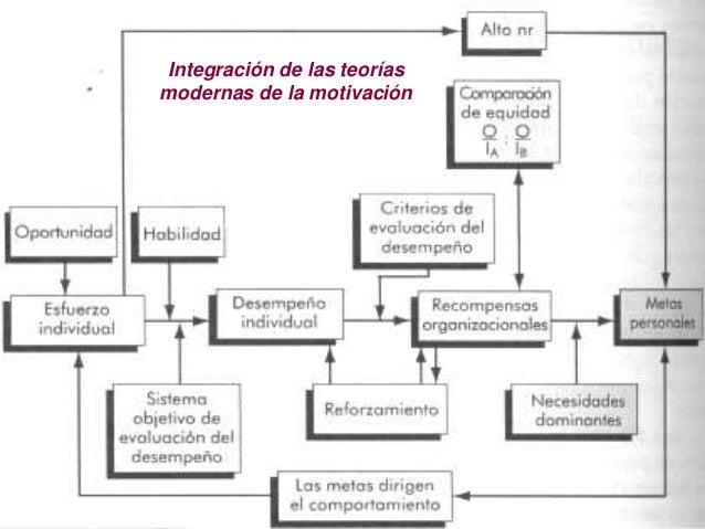 Comportamiento organizacional robbins
