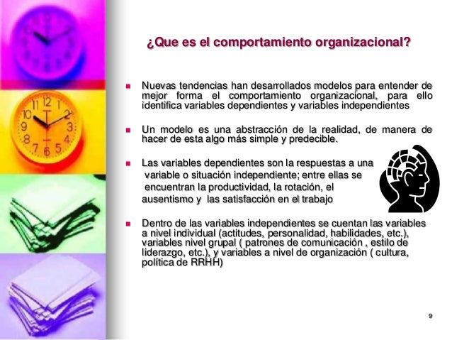 Comportamiento organizacional robbins