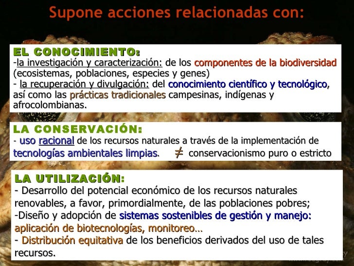 Supone acciones relacionadas con: <ul><li>EL CONOCIMIENTO : </li></ul><ul><li>la investigación y caracterización: de lo...