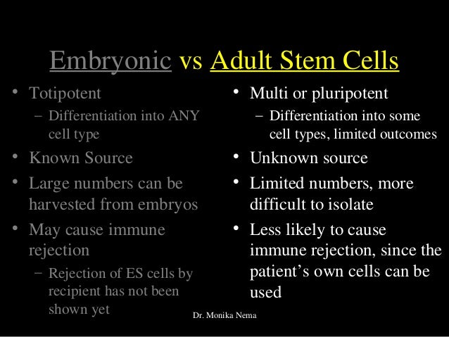 Embryonic Adult Stem Cells 21