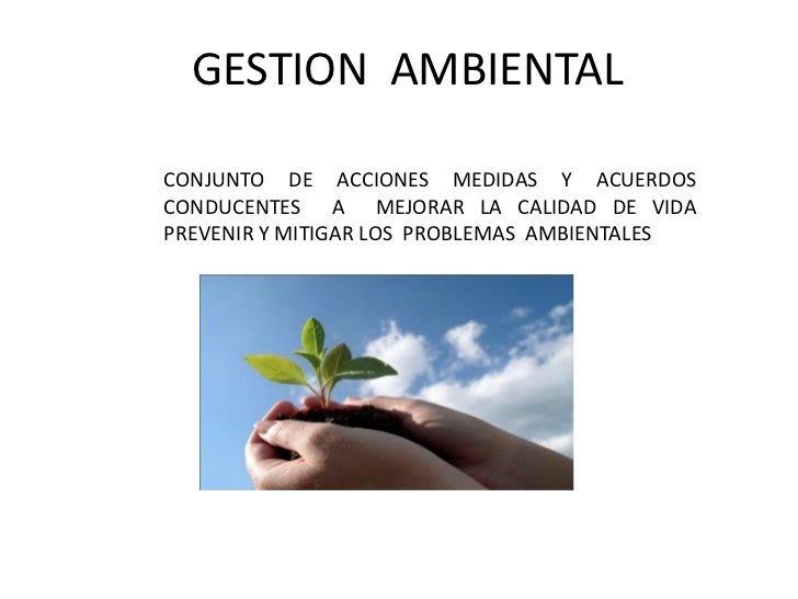 GESTION AMBIENTAL DEFINICION gestion ambiental definicion: