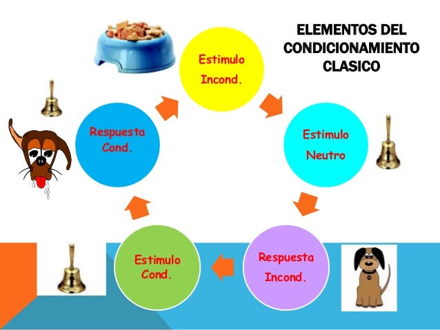 Condicionamiento clásico