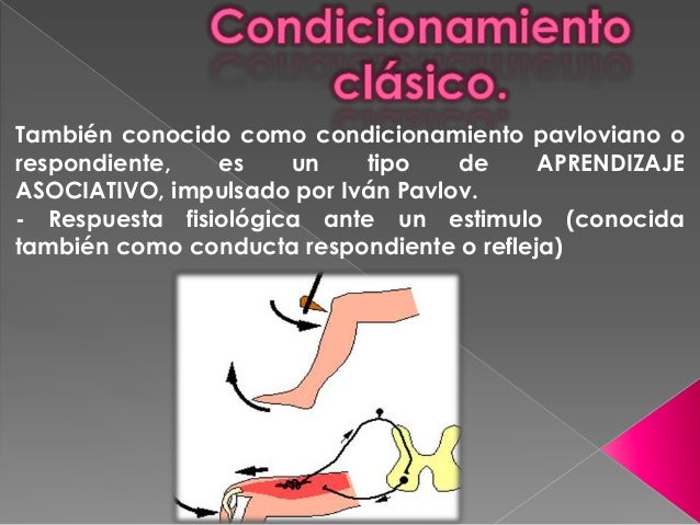 DIDACTICA: TEORÍAS DEL APRENDIZAJE: PAVLOV. EXPOSICIÓN EQUIPO 1 Condicionamiento-clasico-1-638