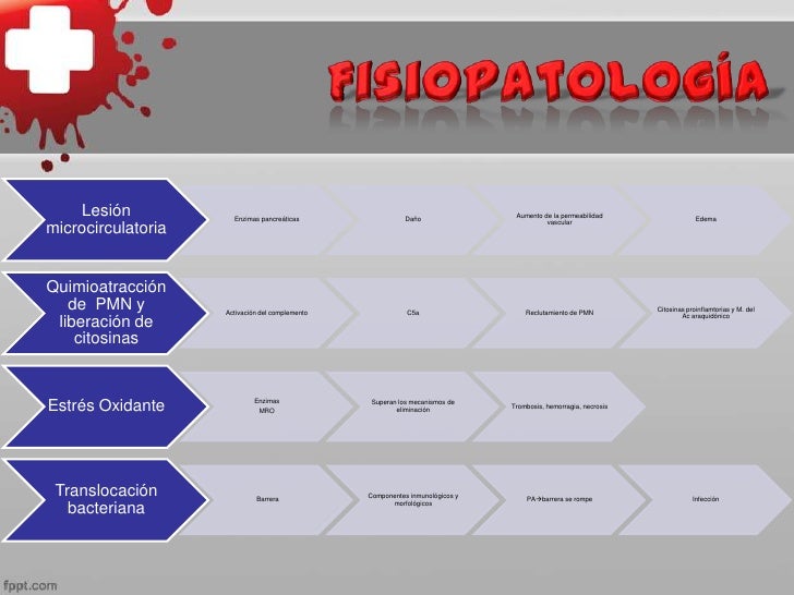 Pancreatitis Aguda y Cronica Pancreatitis Aguda y Cronica