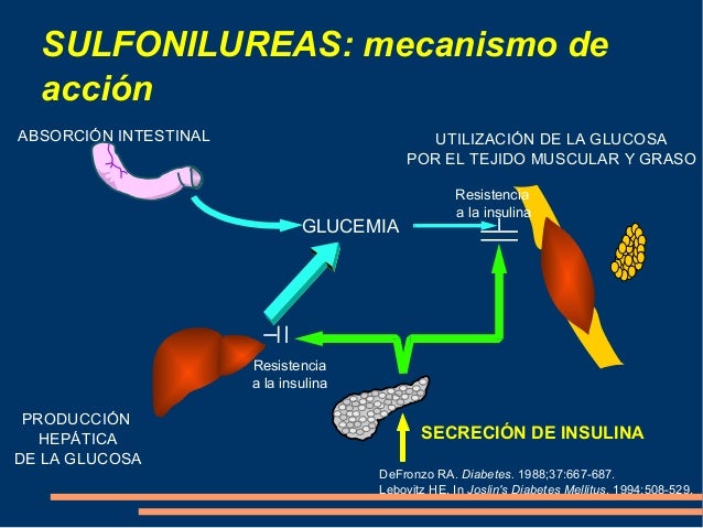 Conferencia sulfonilureas y metiglinidas Conferencia sulfonilureas y metiglinidas