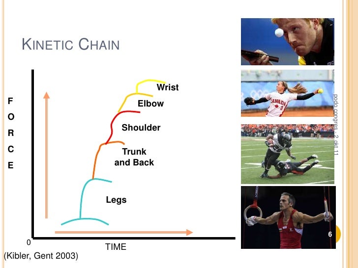 chain" approach in rehabilitation Mrs. Fabienne Vandesteene