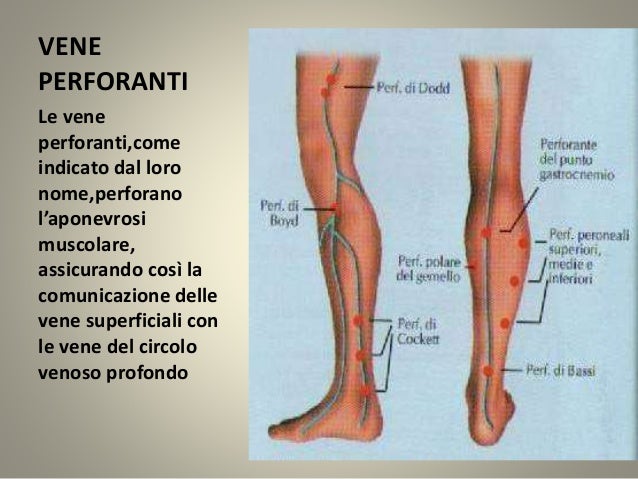 Quello che è una distruzione in polmoni