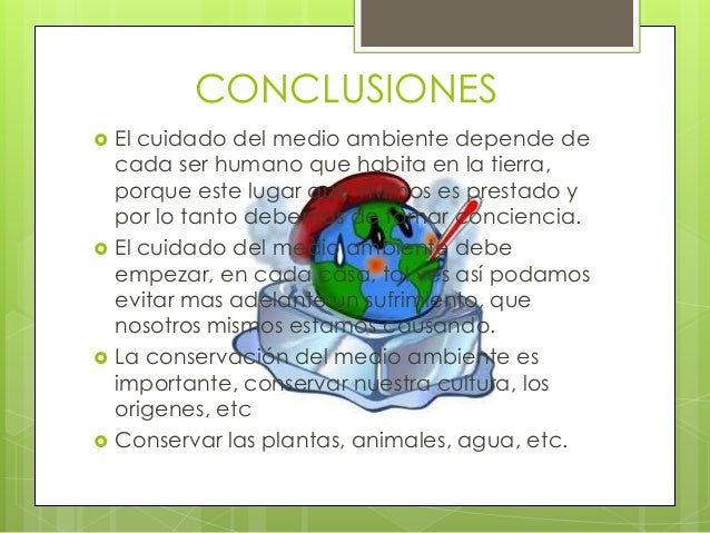 cuidado y conservacion del medio ambiente