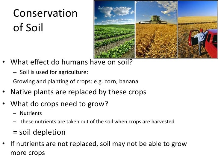 How Can Humans Conserve And Protect Natural Resources How Can Humans Conserve And Protect Natural Resources
