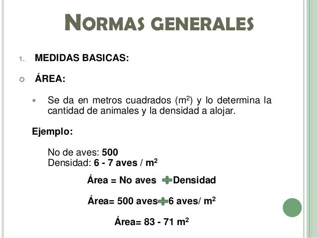 Cuantas Gallinas Entran Por Metro Cuadrado