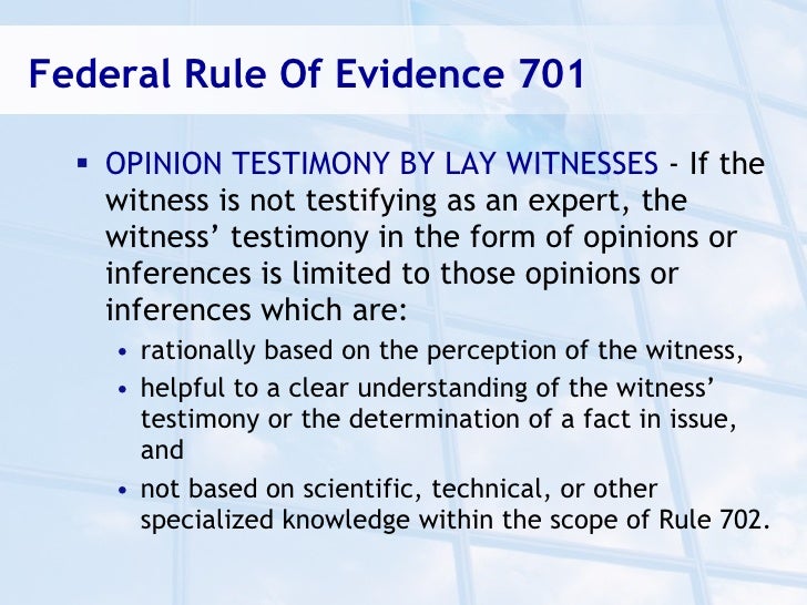 expert witness form