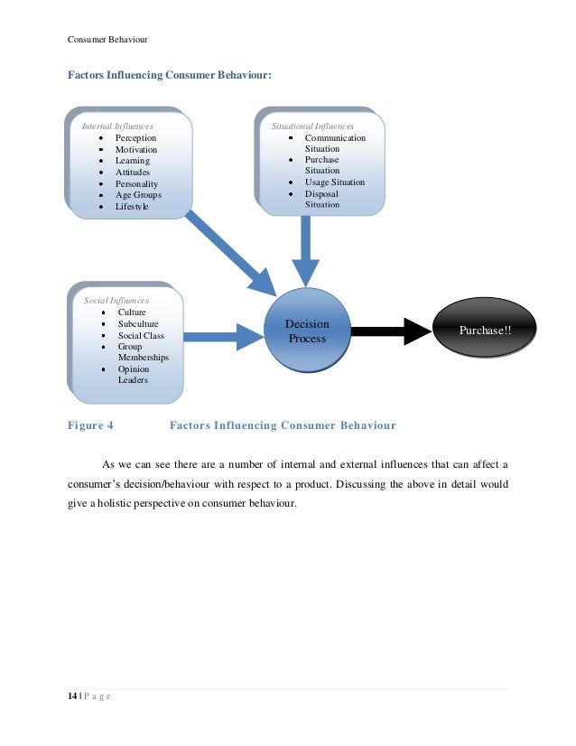 behavioral influences essay behavioral influences essay