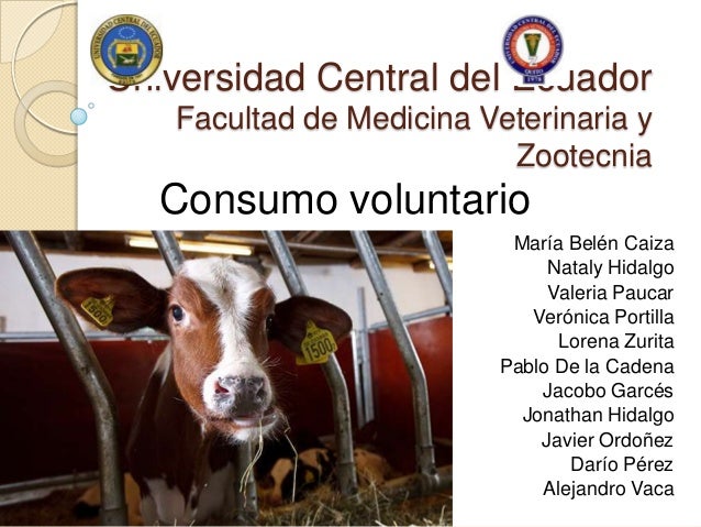 Consumo voluntario en bovinos