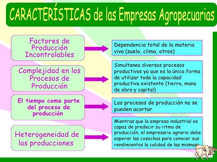 Contabilidad Agropecuaria