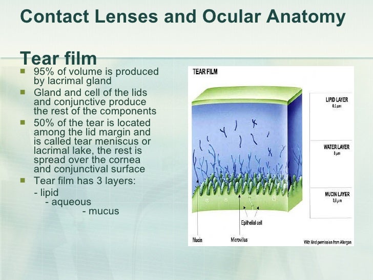 contact lenses tear in contact