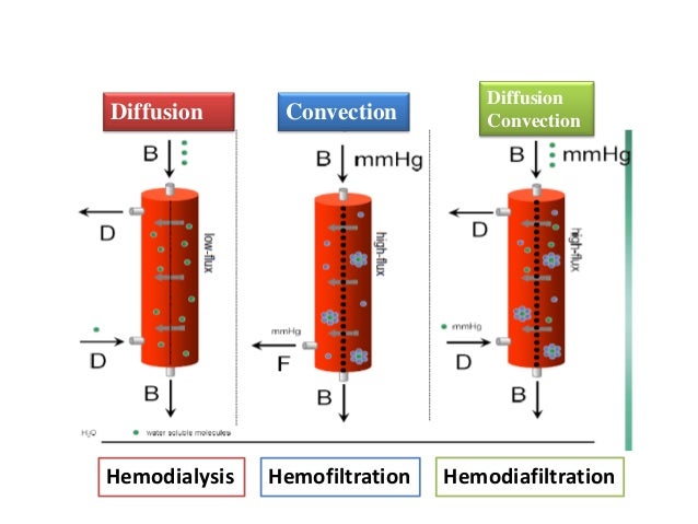 dialysis hospital staten island