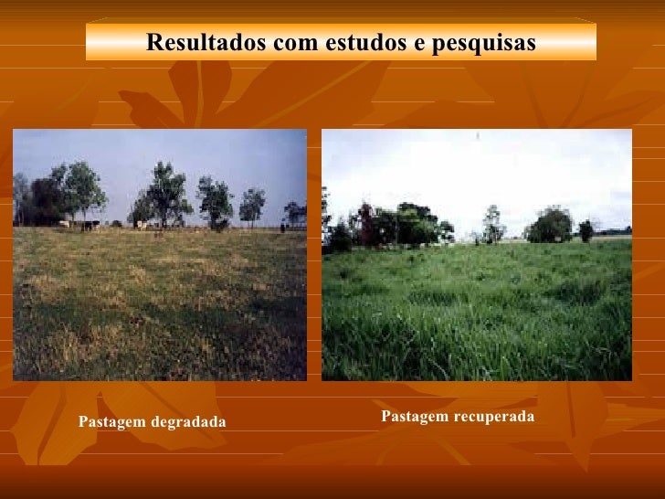 Se é necessário fazer testes em um lyambliya