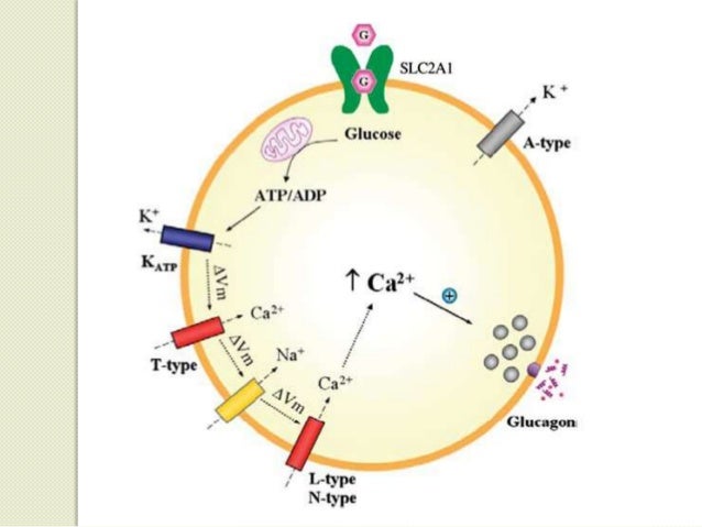 Control glicemia Control glicemia