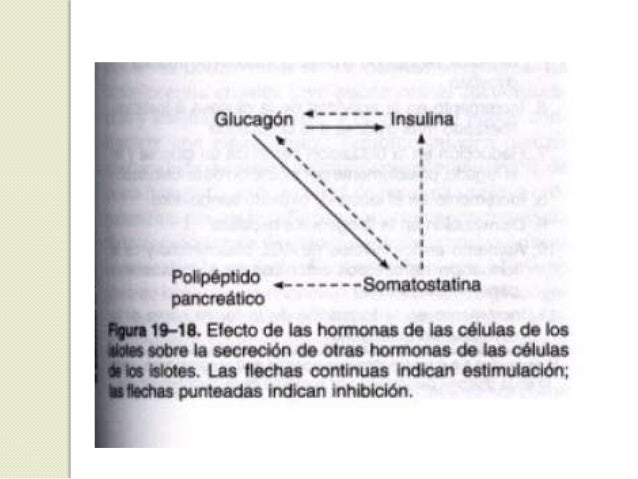 Control glicemia Control glicemia