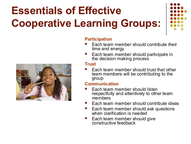 Cooperative Learning Group 17