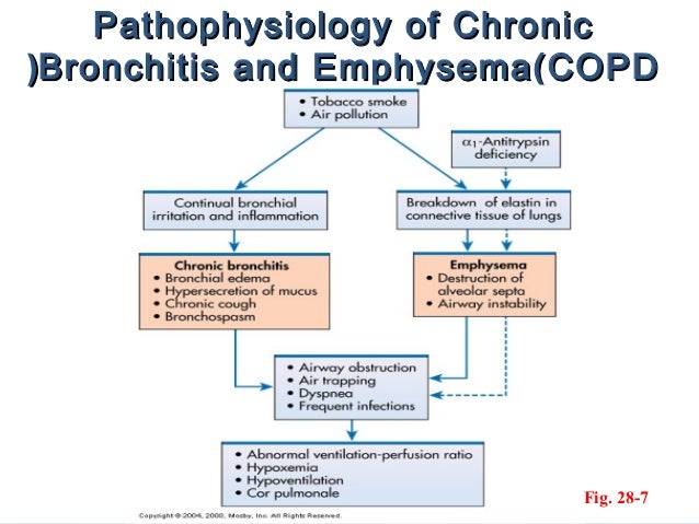 bronchitis infection contagious