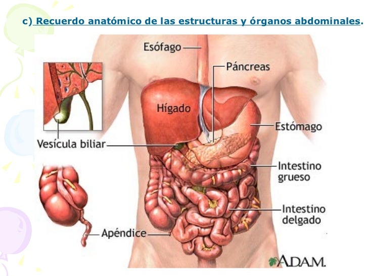 Duele la espalda en el campo del sacro a la izquierda que esto puede ser