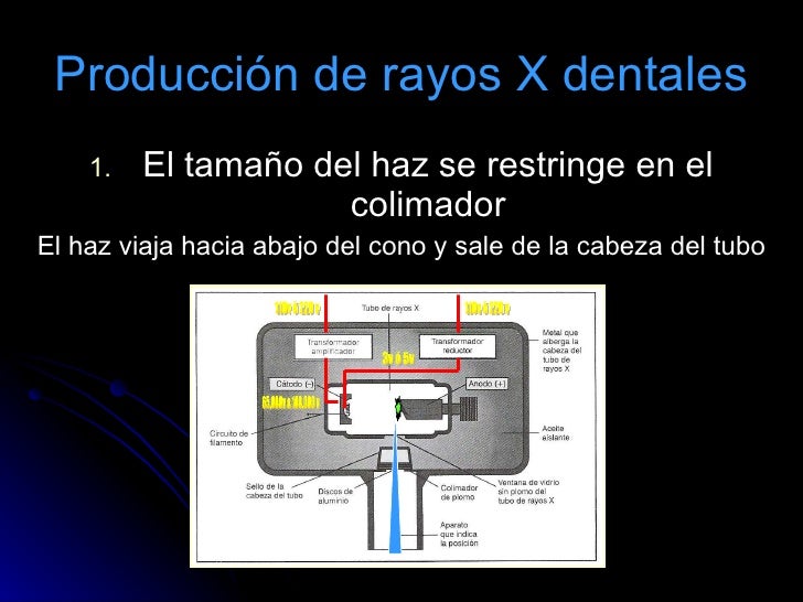 Copia de clase 1 radiología dental2