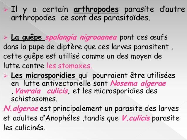 Les symptômes les signes des parasites et le traitement