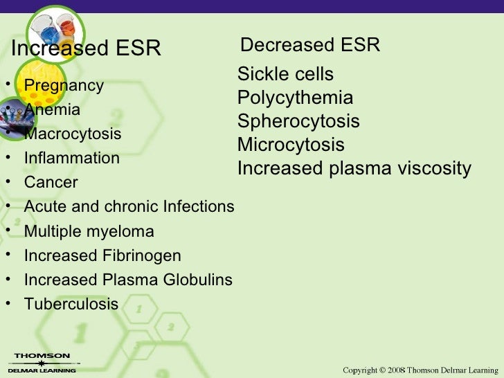 Copy (2) Of Lesson 2 12 Laboratory Esr