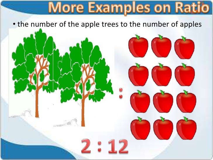• the number of the apple trees to the number of apples 