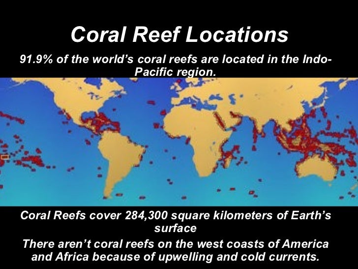 Coral Reefs Coral Reefs