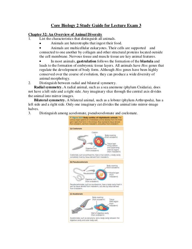 biology mid term study guide Candace stevensjune 12, 2015principles of biology ii labmid term exam study guide1 where should backpacks, purses, and coats be stored in the laba. biology mid term study guide Candace stevensjune 12, 2015principles of biology ii labmid term exam study guide1 where should backpacks, purses, and coats be stored in the laba.