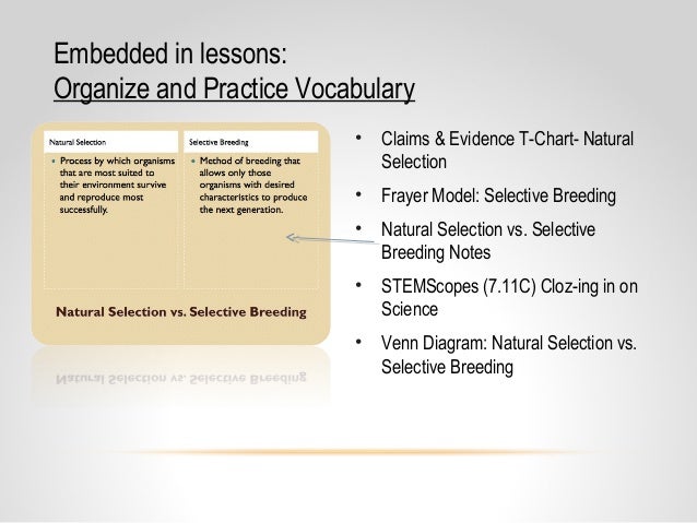 Core Content Coaching Grade 7 Natural Selection ... venn diagram natural selection and selective breeding 