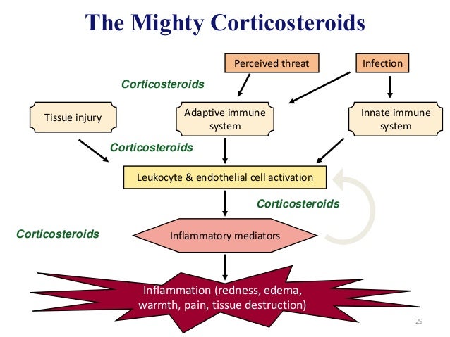 otc drugs interfere prednisone