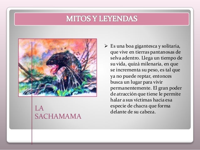 Dating app de segura Dating app de segura