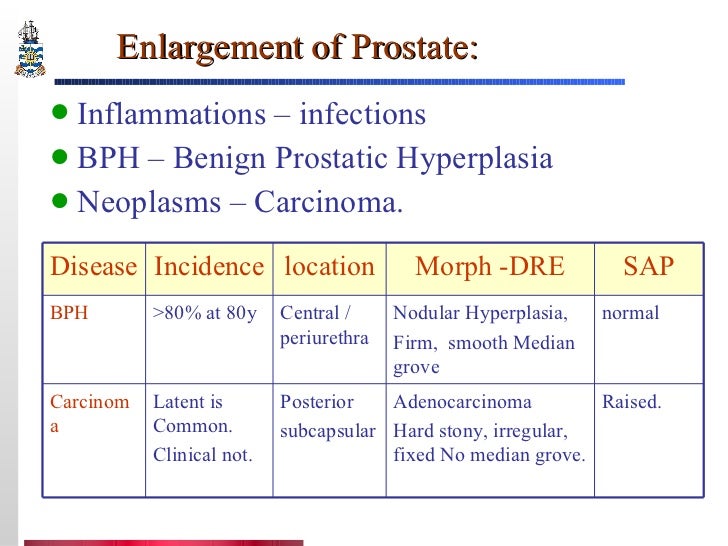 Benign Prostatic Hyperplasia Vs Prostate Cancer Pathology of Prostate