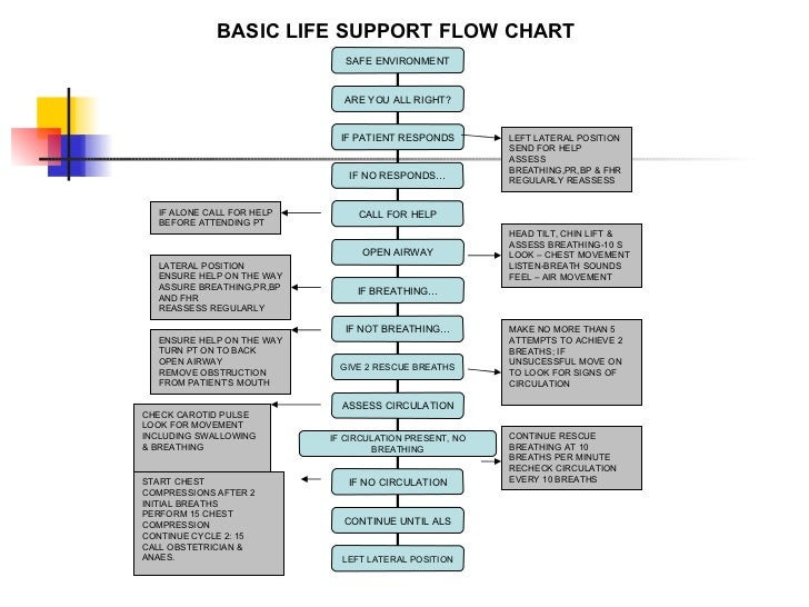 cpr flowchart cpr in patients cpr flowchart cpr in patients
