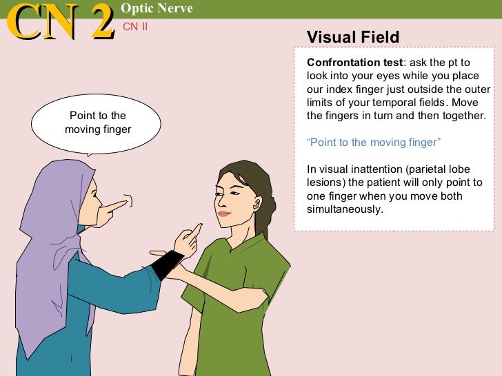 Cranial nerve examination